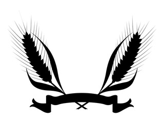 Épis de blé sur fond blanc	