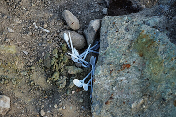 starfish on the sand