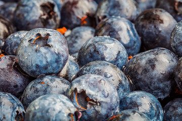 Fresh blueberry .  Blueberry berries close up texture