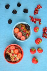 Chocolate oatmeal porridge with strawberry, blackberry, red currant, hemp seeds and flax seeds
