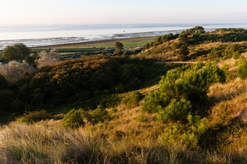 Fototapeta premium Duinen op Vlieland, Dunes at Vlieland