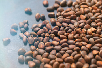 Unpeeled pine nuts scattered on a dark background with blue backlighting.