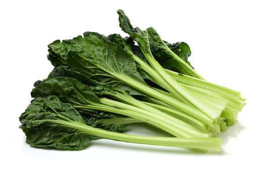 Fresh harvested Tah Tsai lettuce isolated on white. Tah Tsai or (Tatsoi) a commly used green leaf vegetable in Chinese and oriental dishes.