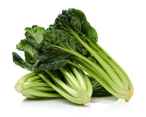 Fresh harvested Tah Tsai lettuce isolated on white. Tah Tsai or (Tatsoi) a commly used green leaf vegetable in Chinese and oriental dishes.