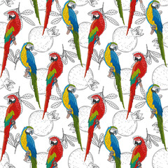 Naklejka premium Large parrots on the background of pomegranates