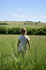 Naklejka na ściany i meble Child in field of long grass. 