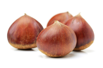 Fresh chestnuts on white background