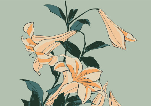 Trumpet Lilies Japanese Woodblock Print Style Vector Illustration