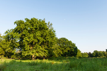 De Meinweg, Limburg, De Meinweg, Netherlands