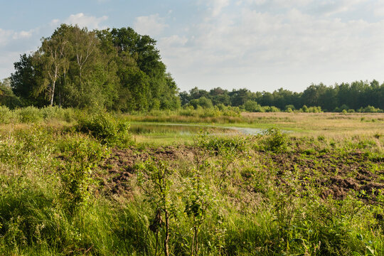 Nationaal Park De Groote Peel, National Park Groote Peel