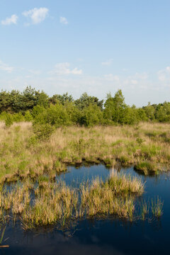 Nationaal Park De Groote Peel, National Park Groote Peel