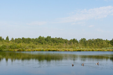 Nationaal Park De Groote Peel, National Park Groote Peel