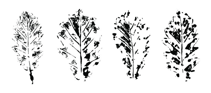 Texture of ink stamps of leaves. Grunge silhouettes of plants