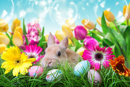 Fresh spring nature background with tulips and daffodils with easter rabbit and easter eggs in landscape.