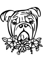 Dog with flower, Dog, Puppy sılhouette, Bulldog, Dog lover, Animal, Pet