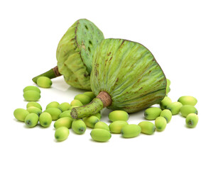 lotus seeds on white background