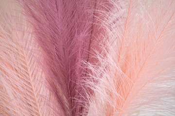 synthetic feather of bird for background. Chaotic abstract design.