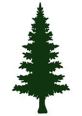 Christmas Tree, Pine, Forest, Christmas Tree Decor, Home Decoration, Green Pine, Winter, Christmas