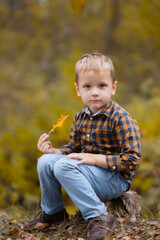 Little boy holding an oak leaf in his hands