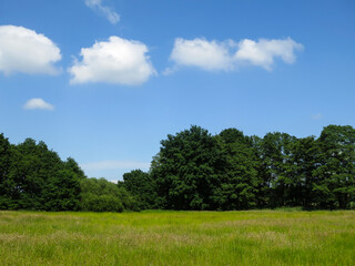 Landscape at De Bruuk