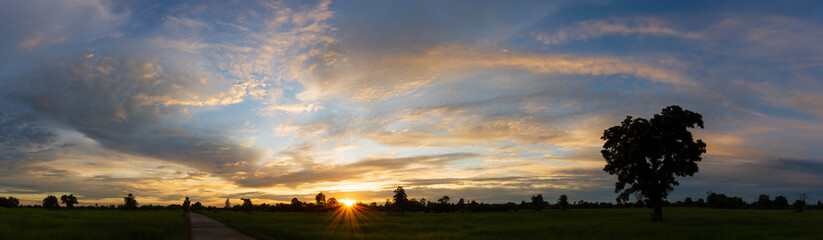 Naklejka na ściany i meble Sky atmosphere with sunset light over rice fields, Thailand.
