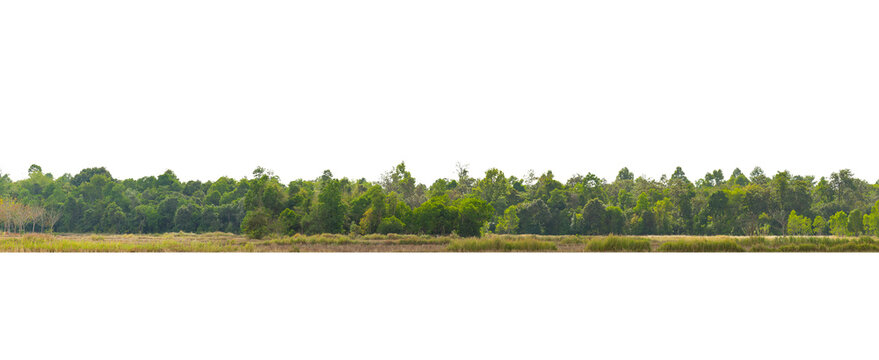 Hình ảnh silhouette rừng cây: Bạn đang tìm kiếm cảm giác yên bình và thăng hoa với thiên nhiên? Hãy xem những hình ảnh silhouette rừng cây đầy ma mị và đầy ấn tượng này. Nhìn từ xa, cảnh vật trở nên mê hoặc hơn bao giờ hết với bóng đen đồng nhất được tạo ra bởi núi đồi và những cây rừng cao tràn ngập.