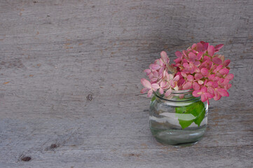 light pink hydrangea flower blooms in small glass jar on rustic wood background 
