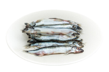 Frozen and freshly caught capelin closeup