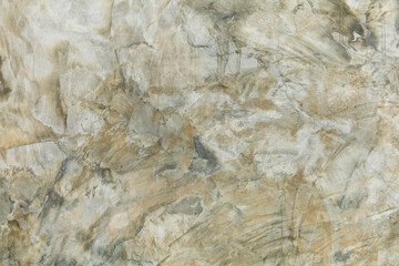 Abstract background grey of the cement wall