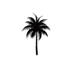 coconut tree icon, palm tree vector silhouette with black and white