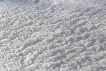 Snow texture. Winter background. Daylight. Snow crystals 