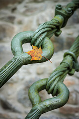 Verbindung mit Stahlseil