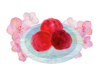梅干し　カリカリ梅　梅の花　挿絵　和食　水彩イラスト　和風　日本食