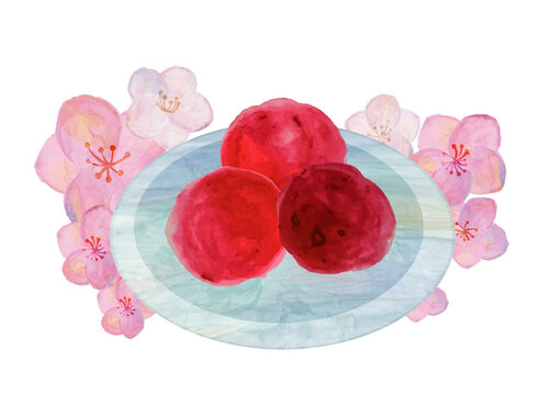 2 332 Best うめぼし Images Stock Photos Vectors Adobe Stock 2 332 Best うめぼし Images Stock Photos Vectors Adobe Stock
