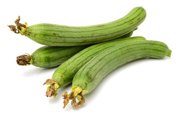 fresh loofah on the white background 
