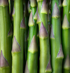 Macro view of asparagus stalks (Asparagus officinalis)..