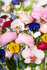 Ranunculus flat lay composition