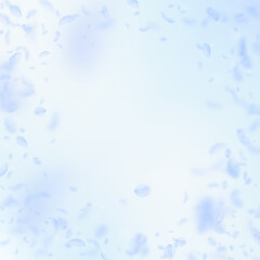 Light blue flower petals falling down. Pretty roma