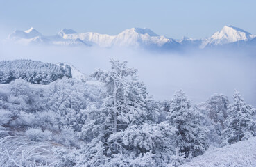 mountain chain cowered by a snow in a mist and dense clouds, winter travel background