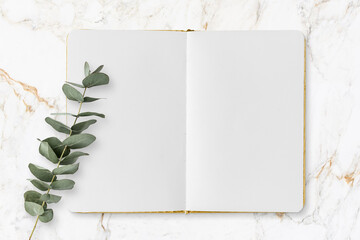 Boho Lifestyle - offenes Notizbuch, leere Seiten, Eukalytpus Zweig, Marmor Hintergrund - minimalistisches , modernes Konzept - 415201718