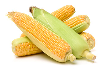 Corn on white background 