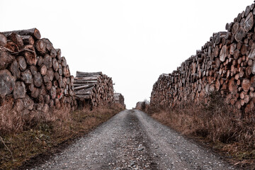 woodland wood industry