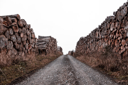 woodland wood industry