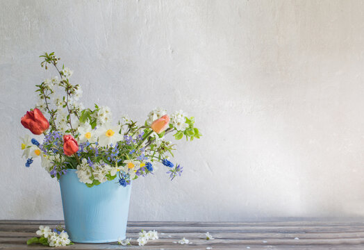 spring flowers in blue bucket on white background
