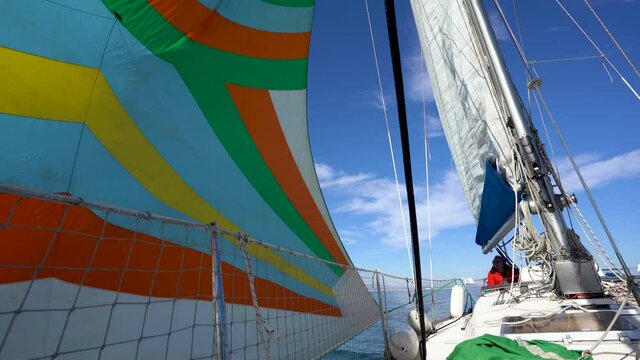 a bord d'un voilier, le pilote en rouge surveille son spi , une immense voile color&eacute;e