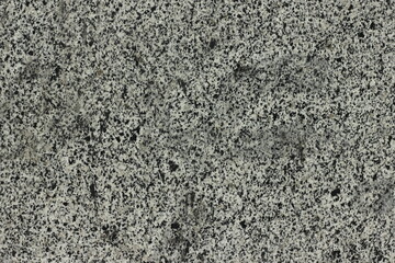 concrete wall texture