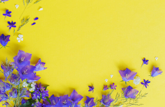 Blue Wild Flowers On Yellow Background