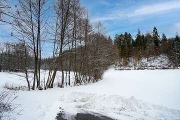 Landscape shots in the Bavarian Forest in Bavaria in daylight