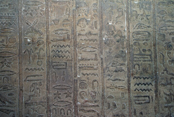 Ancient Egyptian Hieroglyph Wall Inscription Background from Edfu Temple, an Old Hieroglyphic Text