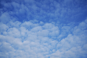 Landscape shots in the Bavarian Forest in Bavaria in daylight